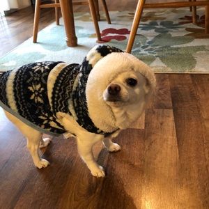 Meet your Posher, Jessica